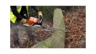 Colin Chadwick Tree Specialist