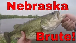 Nebraska Brute