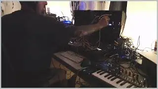 Jam Session Behringer Chaos / Brains / Endorphines Ghost 