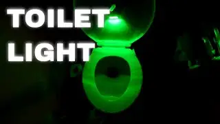 Motion Activated Toilet Bowl Night Light