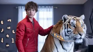 A Doctor Performs a Surgical Procedure on a Tiger while the Tiger is awake. #explainerrohit