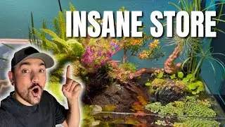 Arizona&rsquo;s Most INSANE Fish & Aquarium Store (Full Tour)