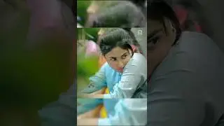 Bhojpuri Status Video | New Bhojpuri Video Song | Bhojpuri Song | #trending #viralvideo #shortsvideo