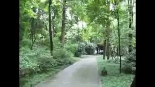 Chengdu Du Fu Thatched Cottage