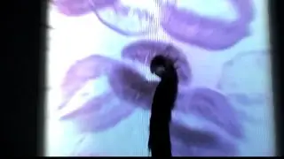 L0VER - 2007