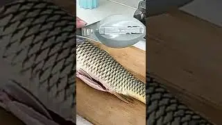 Fish Skin Scrapping Brush