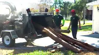 Tree Works Environmental Tree Care Land O' Lakes FL 34639