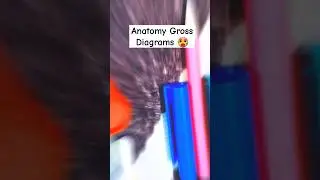Mbbs 1st Year👨&zwj;⚕️🩺Anatomy Gross Diagrams ~Medical College #mbbs #medical #college #neet #collegelife