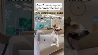 CAT MEMES 😺 Gen Z consumption behavior #catmemes #relatable