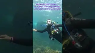 First Time Scuba Diving in Morocco. #divingphotography  #underwaterworld #divingspot #scubalovers