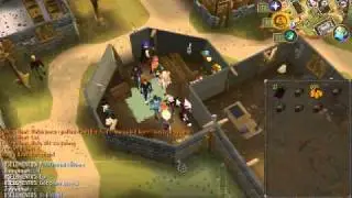 Runescape-20-40 bots botting pure ess!!