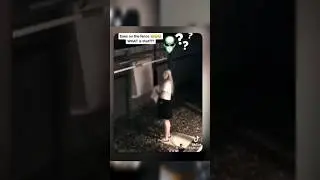 Real ghost on the roof | Ghost video