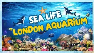 Inside SEA LIFE London Aquarium in 4K | Must Visit Place in UK London