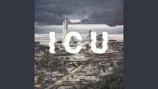 I C U (feat. Vinylcologist)