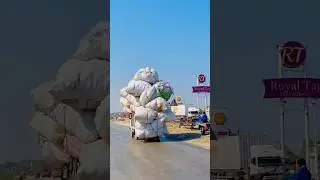 Pakistani Talent #pakistanitalent #funny #viralvideo #trending #youtubeshorts #foryou #talent