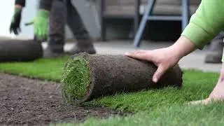Bedrijfsvideo Graco Graszoden