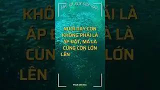&Ocirc;NG BỐ BỈM SỮA U50 #bốbỉmsữa #giadinh #bốbỉmsữavlog