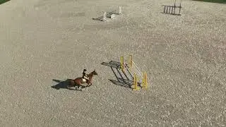 Garmin Blaze Equine wellness system