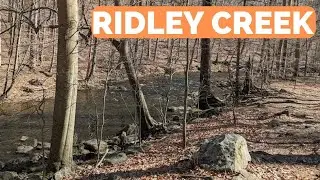 Challenging Hike in Ridley Creek State Park - The White Trail