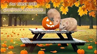 Dumbo Rats' FIRST EVER Gratitude Adventure #ratlife