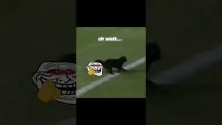 W CAT🗿 #edits #trollface #cat #soccer