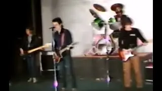 The Freshies - Yellow spot (Video)