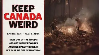 KEEP CANADA WEIRD - 175 - firework assault, a bakery burglary, save the pig in Montreal