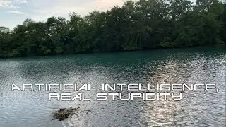 Artificial Intelligence, Real Stupidity
