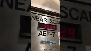 BID ON EQUIPMENT Item: 389434 - WEIGHPACK AEF-7 Scale Filler