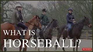 The Craziest Equestrian Sport!!  Inside the World of HORSEBALL