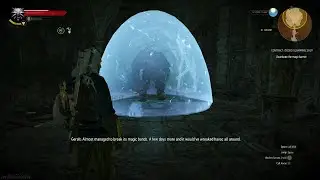 Witcher 3 Wild Hunt - Defeat of Therazane & Succubus Encounter | No Commentary Gameplay