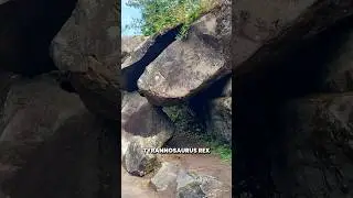 Окаменелость динозавра в Тасмании?