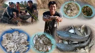 30 ธันวาคม ค.ศ. 2025