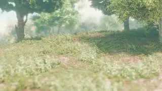 forest terrain test