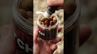 ♻️ THE COLD-WATER GAME CHANGER #dnabaits #carpfishing #shorts #carpbait #fishing
