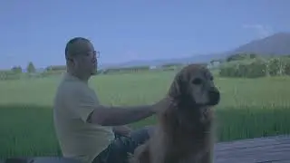 大理稻田