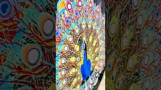 Vibrant Peacock Premium Acrylic Round Wall Art 🦚
