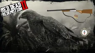 Red Dead Redemption 2 Animal's: Red-tailed Hawk / Rotschwanzbussard Location