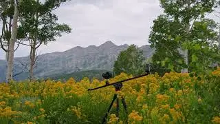 Stock Video - Panning view of camera and slider shooting a timelapse in mountain meadow