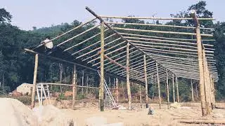 Bamboo shed progress.#shedmaking #agrofarm