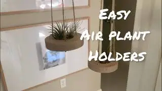 DIY Air Plant Holders