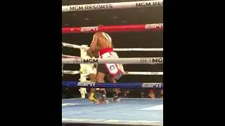 TYSON FURY 
