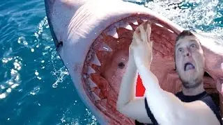 Welcome To The Party - The Depth - Shark attack