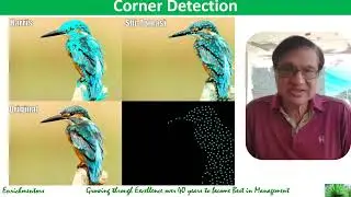 12  Data Collection & Preprocessing IV