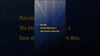 Porcelain Pronunciation & Meaning British English #english #pronunciation #britishaccent.mp4