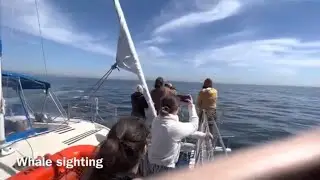 Captain Dave&rsquo;s Whale Watching 🐳 Dana Point 🐬April 6, 2023