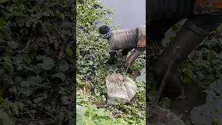 Eel fishing video #foryou #fishing #fish