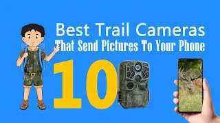 10 Best Trail Cameras That Send Pictures To Your Phone or iPad