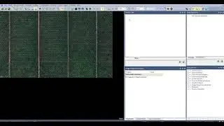 Automatic Palm Count from Google Earth Imagery