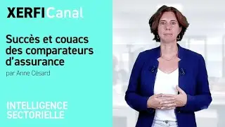 Succ&egrave;s et couacs des comparateurs d&rsquo;assurance [Anne C&eacute;sard]